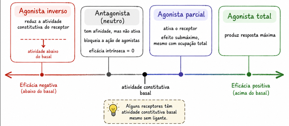 Espectro farmacológico de agonista total, agonista parcial, antagonista neutro e agonista inverso